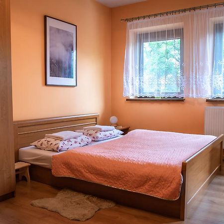 Apartament Domino - Krzeptowki 06 Закопане Экстерьер фото
